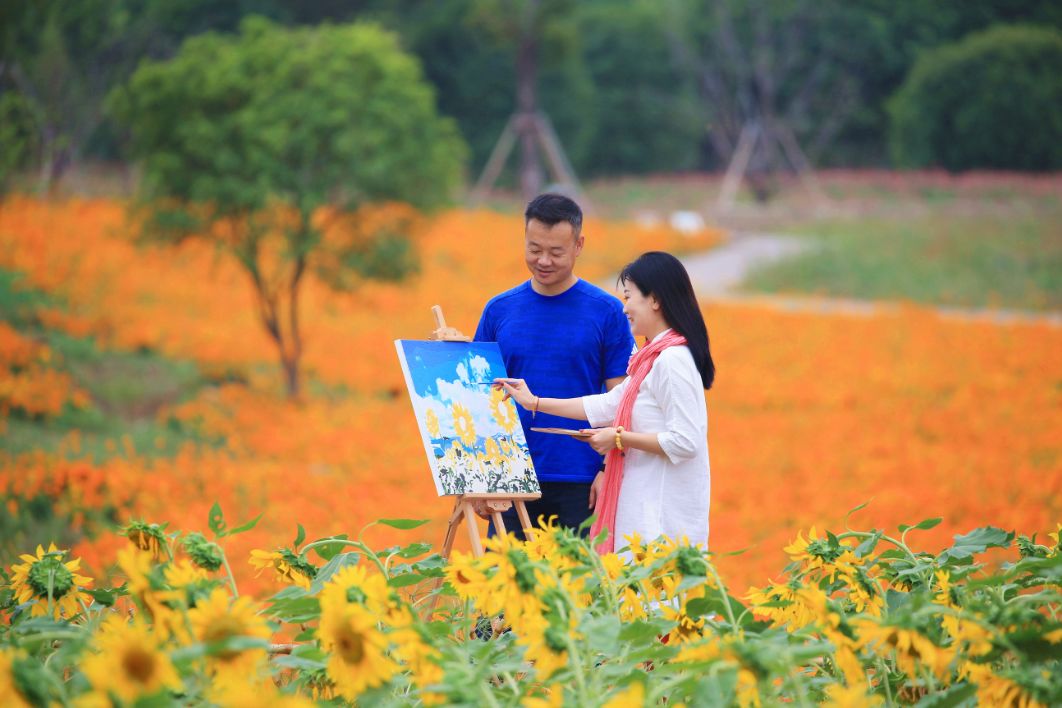 四月浙江最美花海,浙北绝美风光