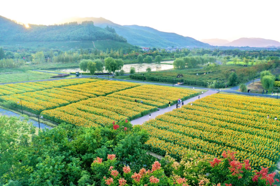 四月浙江最美花海,浙北绝美风光