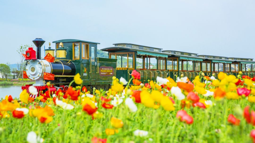 四月浙江最美花海,浙北绝美风光