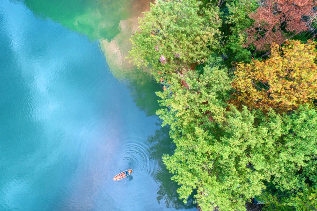 四月浙江最美花海,浙北绝美风光