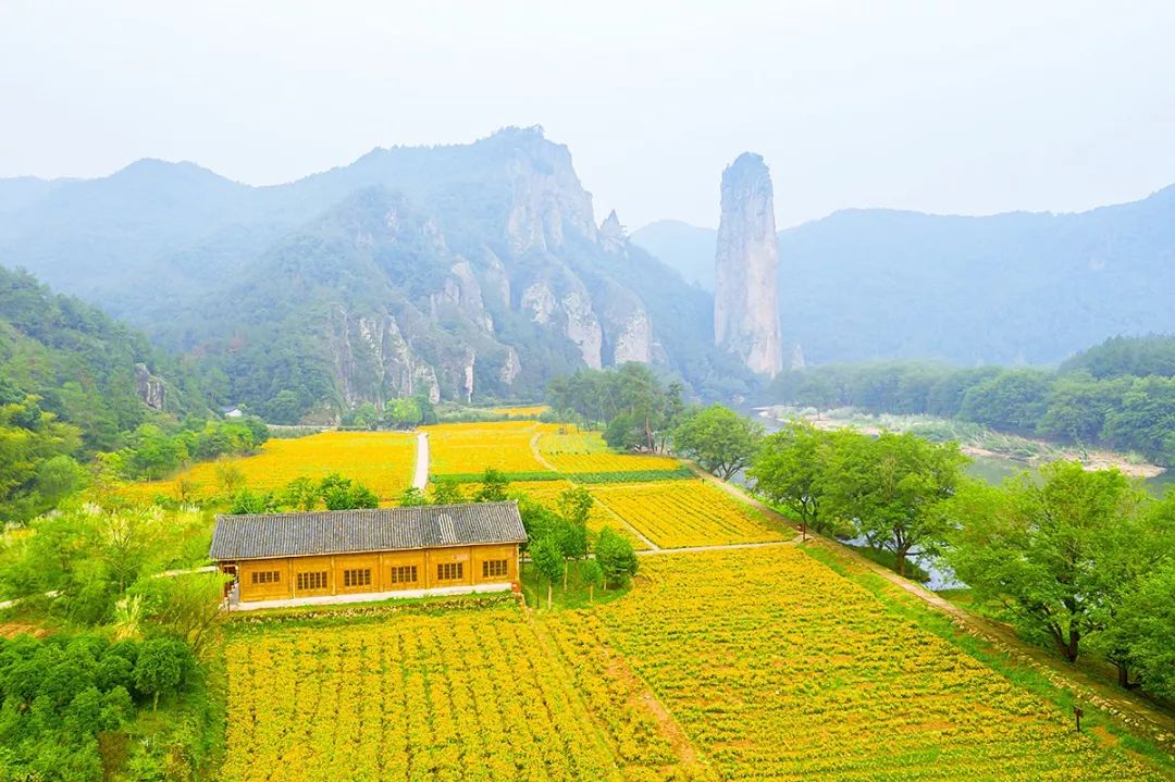 四月浙江最美花海,浙北绝美风光