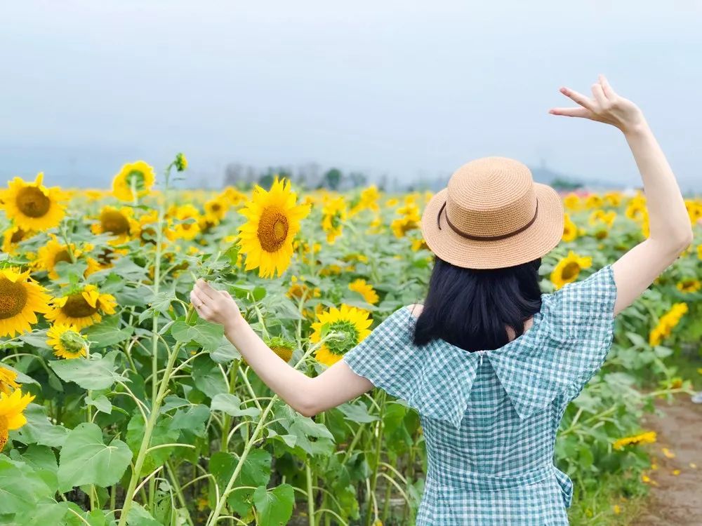 四月浙江最美花海,浙北绝美风光
