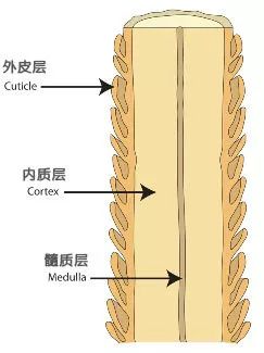 tony老师染什么头发,tony老师染发加工费