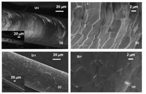 tony老师染什么头发,tony老师染发加工费