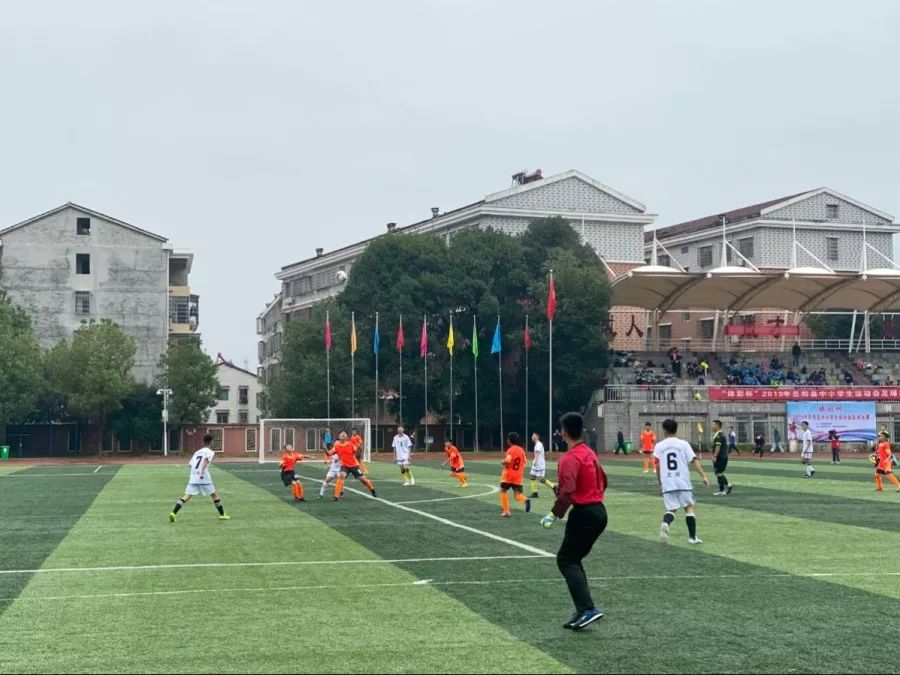 校园足球绿茵赛,绿茵场足球联赛