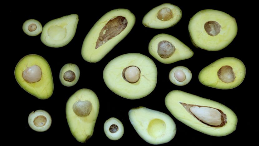 年轻女性用户达70%，纪录片也开始追求“女人缘”？