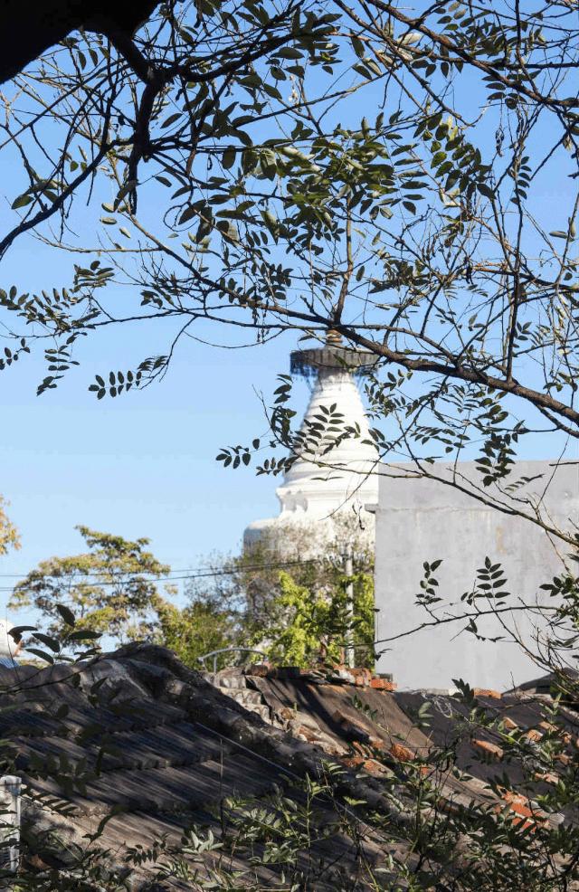 这家隐藏在胡同里的民宿不简单！邓伦都来打卡，你想住吗？,福利