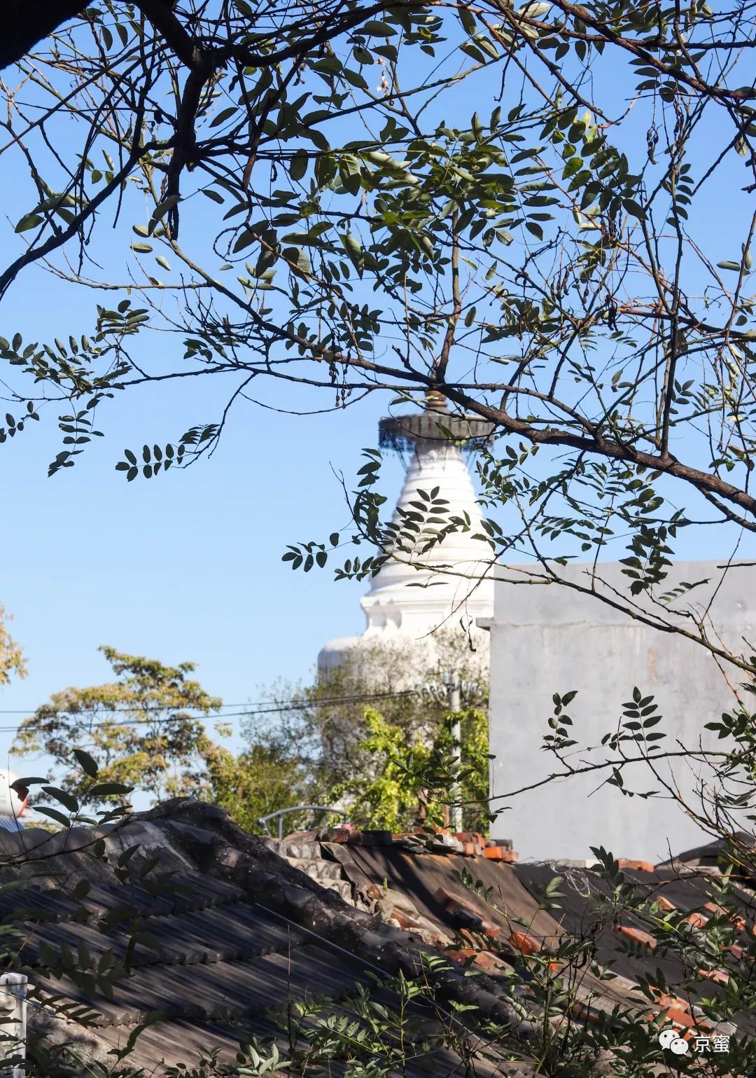 这家隐藏在胡同里的民宿不简单！邓伦都来打卡，你想住吗？,福利