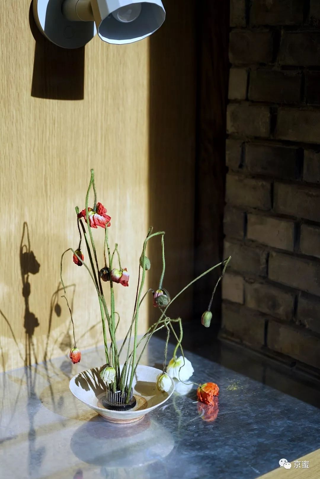 这家隐藏在胡同里的民宿不简单！邓伦都来打卡，你想住吗？,福利