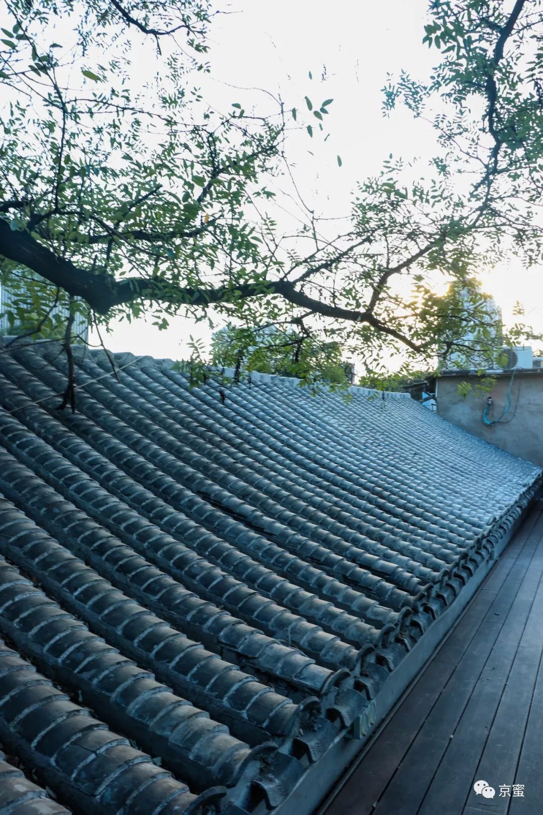 这家隐藏在胡同里的民宿不简单！邓伦都来打卡，你想住吗？,福利