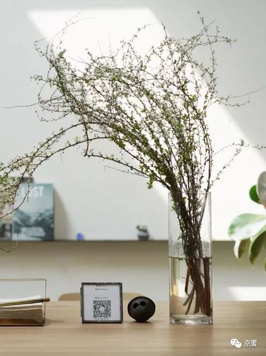 这家隐藏在胡同里的民宿不简单！邓伦都来打卡，你想住吗？,福利