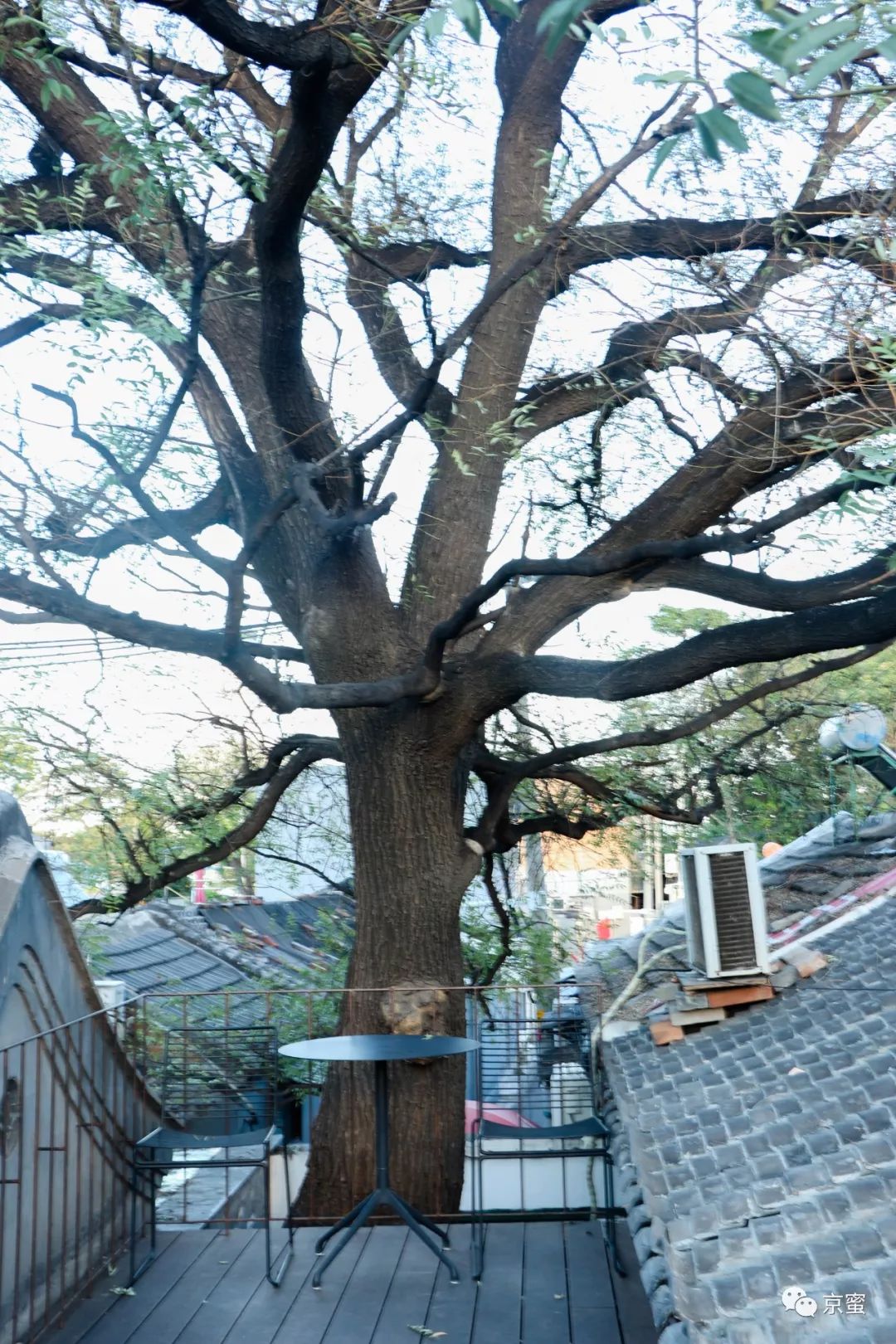 这家隐藏在胡同里的民宿不简单！邓伦都来打卡，你想住吗？,福利