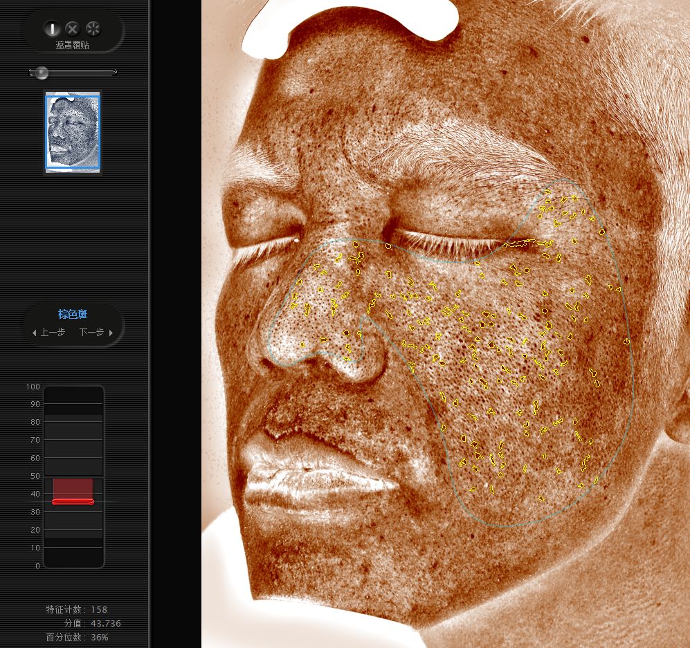 五周年免费皮肤手感,五周年限定皮肤免费体验