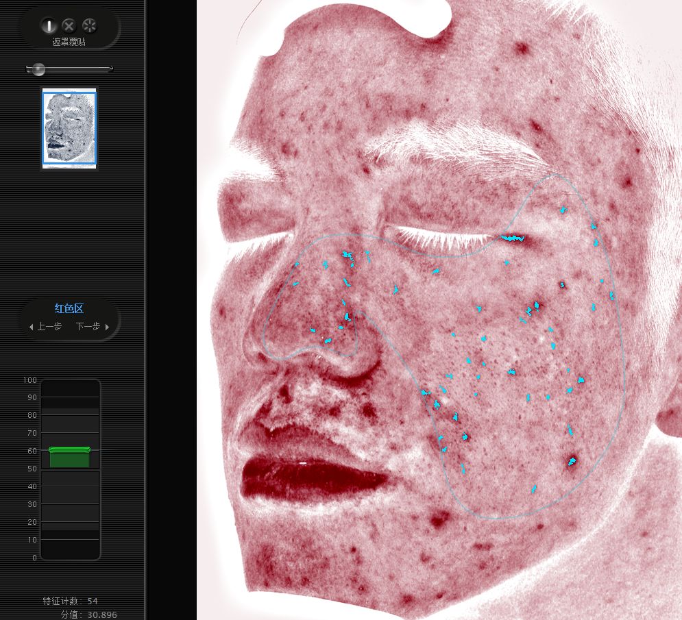 五周年免费皮肤手感,五周年限定皮肤免费体验