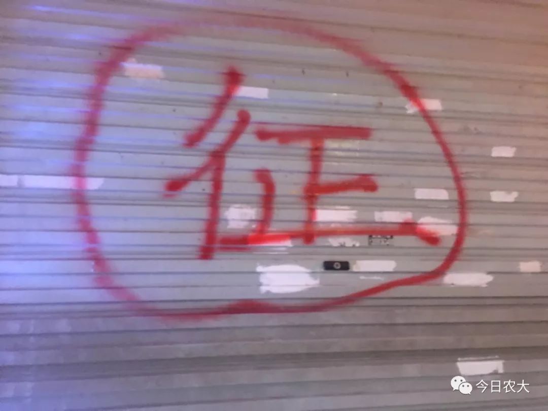 福州目前最好的夜市在哪里,福州最新夜市推荐