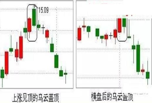 北大女教授讲金融,北大女金融博士