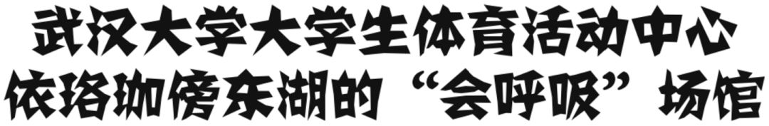 军运会开幕啦！去青山绿水间看比赛