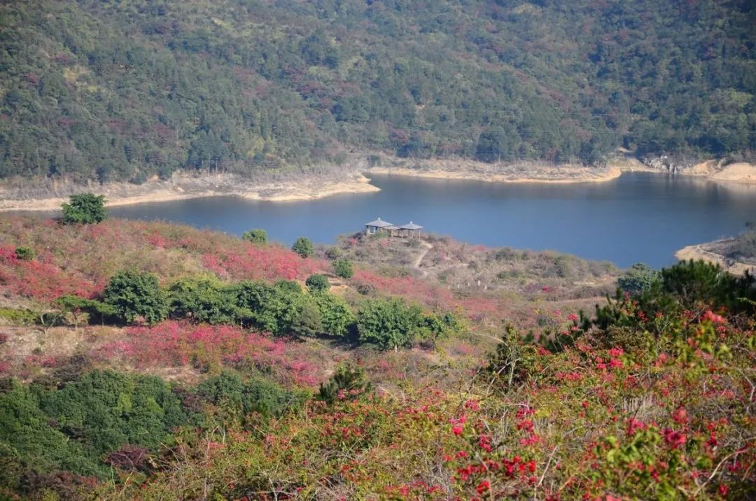 厦门地铁三号线最新运营时间,2023春节厦门地铁运营时间