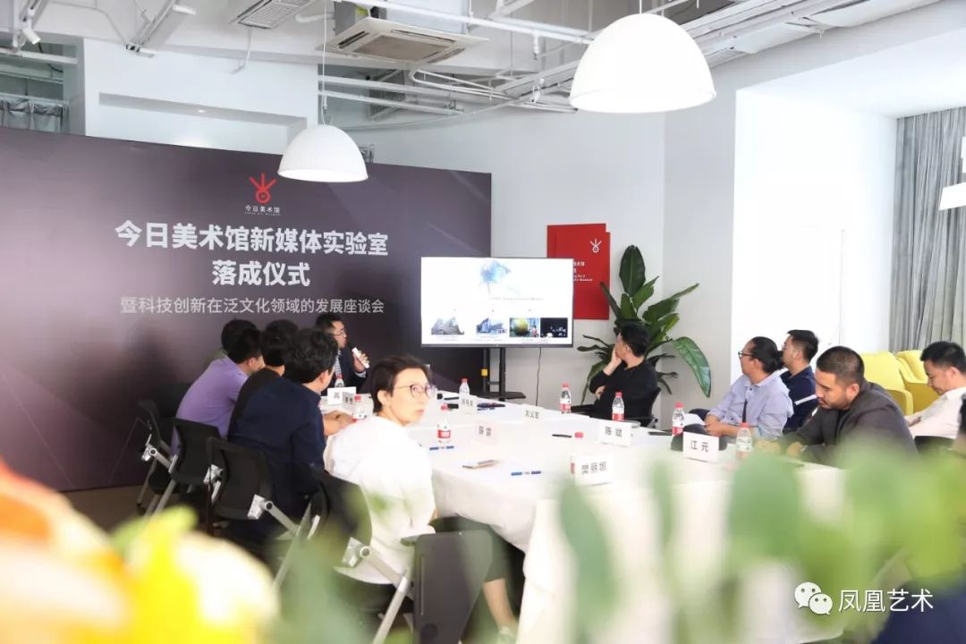 高鹏谈凤凰艺术,凤凰艺术专题