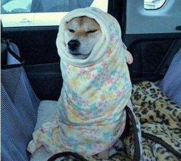 你摊上事了歌词完整版,你摊上事了完整版字幕