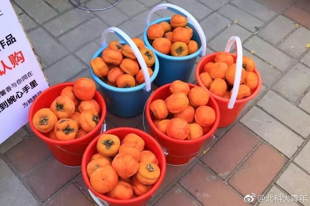 你摊上事了歌词完整版,你摊上事了完整版字幕