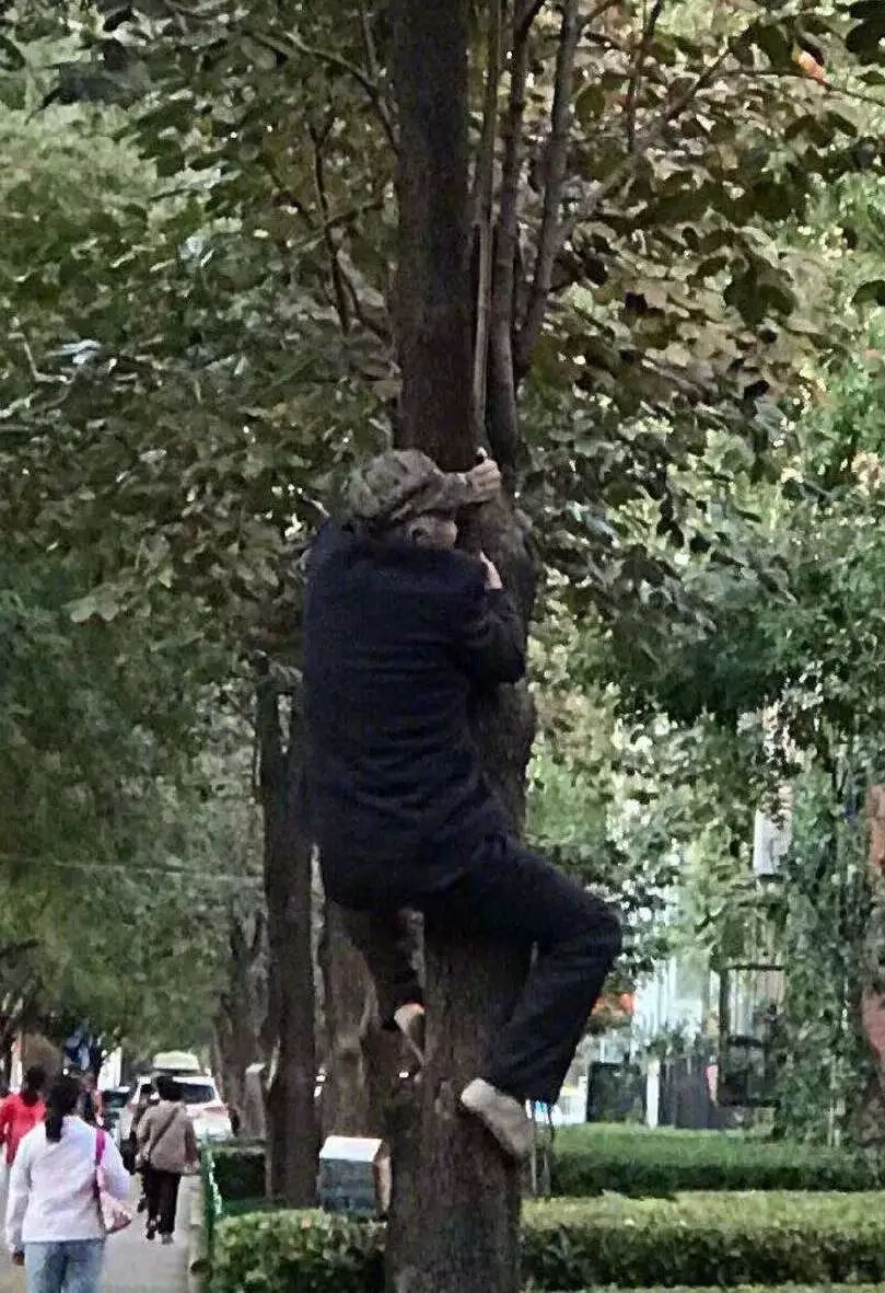 你摊上事了歌词完整版,你摊上事了完整版字幕