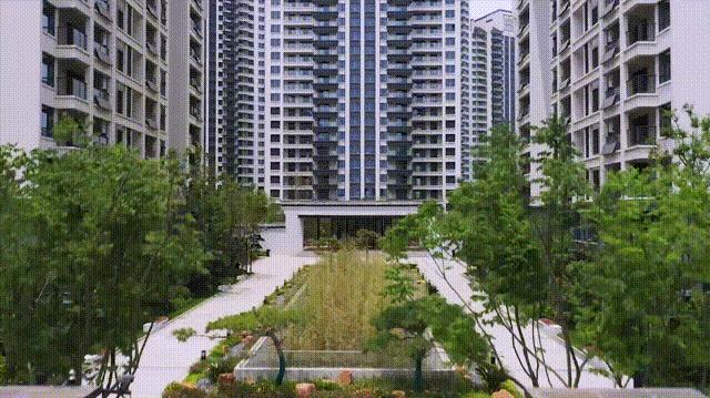 军运会开幕式观赛指南,中国军运会