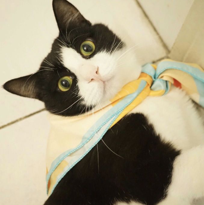 别瞎研究了，几位资深零食粉整理出来的双11囤货清单