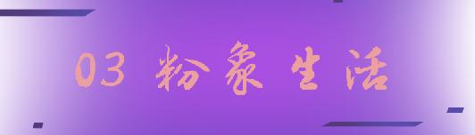 郑才千的聪颖生活·数码·购物插件（特别推送）