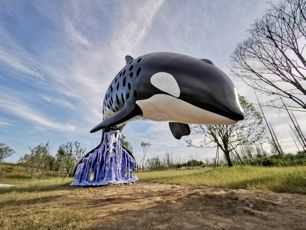 天府绿道最美的地方,天府绿道震撼全景