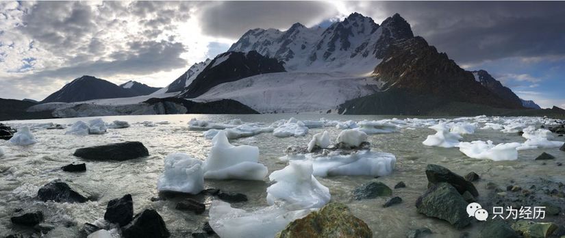 博格达雪莲花简介,雪莲花博格达