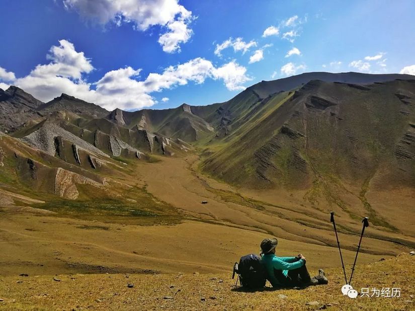 博格达雪莲花简介,雪莲花博格达