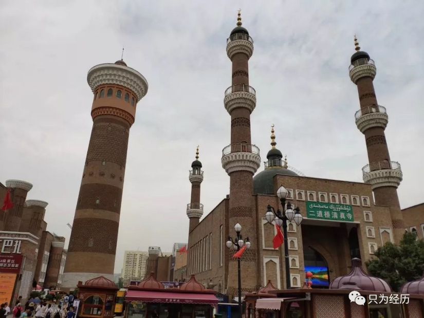 博格达雪莲花简介,雪莲花博格达