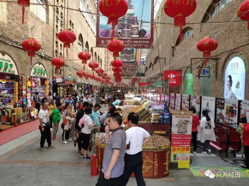 博格达雪莲花简介,雪莲花博格达