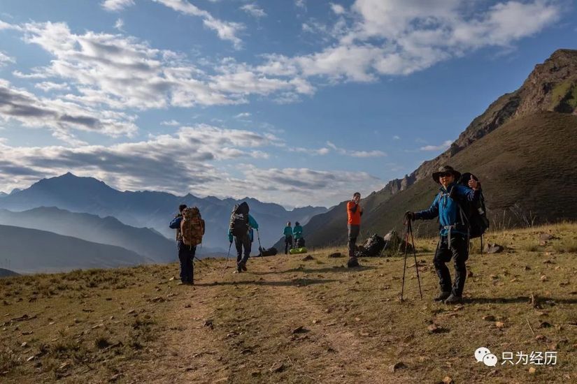 博格达雪莲花简介,雪莲花博格达