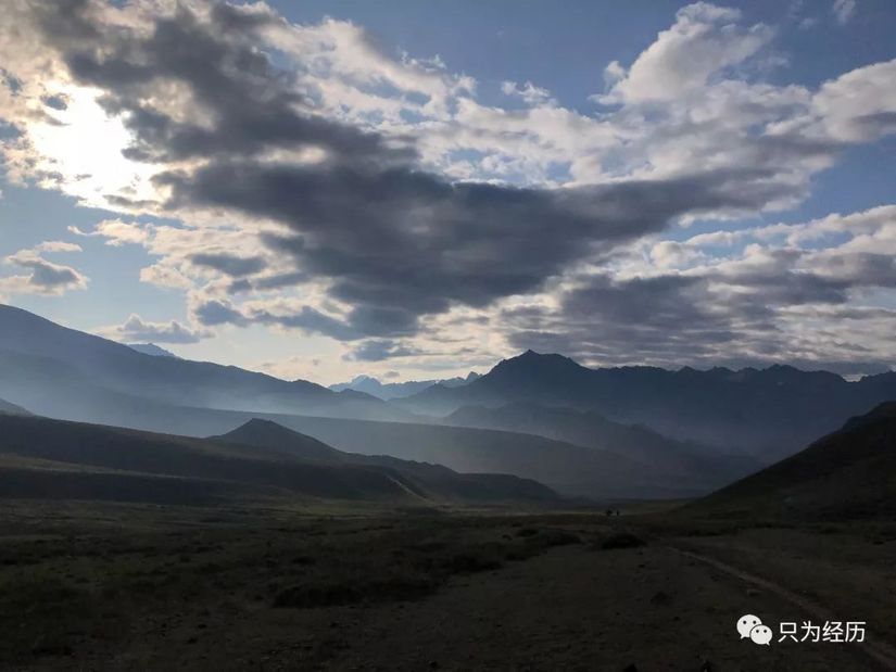 博格达雪莲花简介,雪莲花博格达