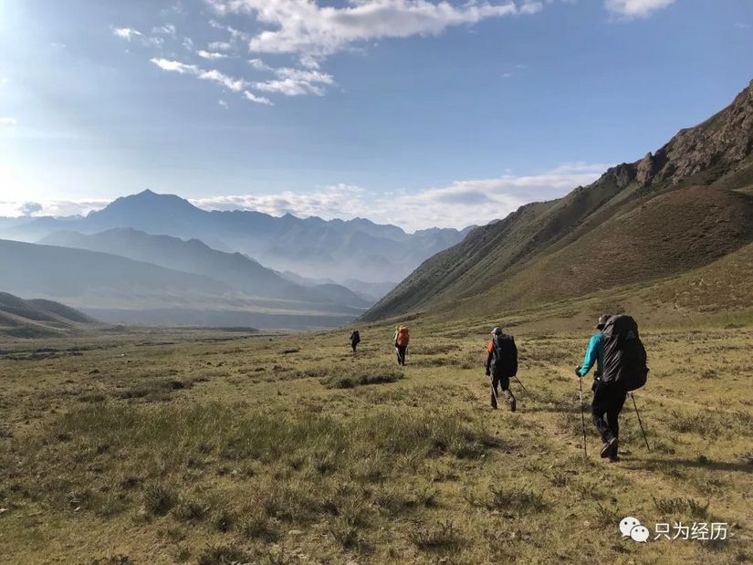 博格达雪莲花简介,雪莲花博格达