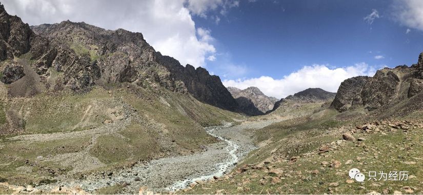 博格达雪莲花简介,雪莲花博格达