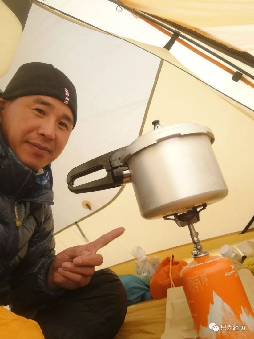 博格达雪莲花简介,雪莲花博格达