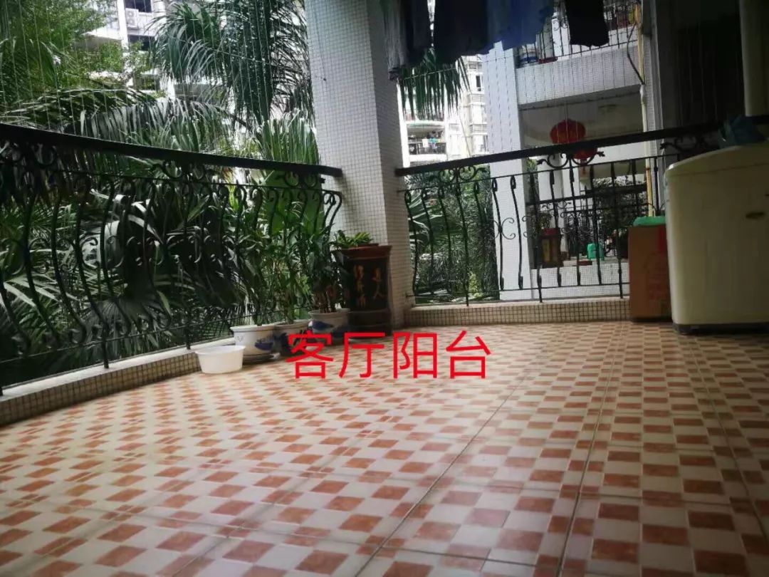 厦门最新租房1000元以下,厦门2024年租房价格趋势