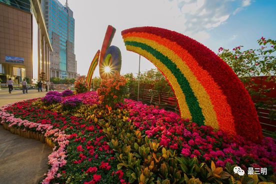 获职工摄影大赛金奖,首届群众舞蹈摄影大赛获奖公告