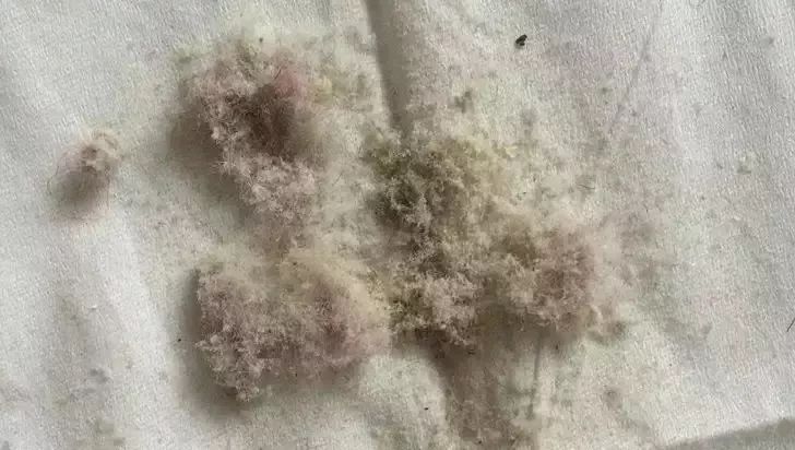 好用的去螨虫喷雾推荐,除螨喷雾排行第一名神器