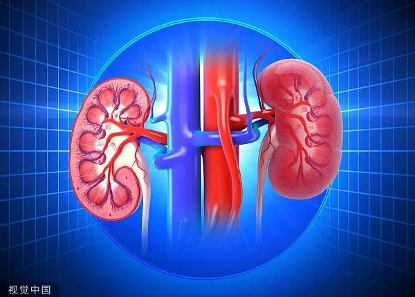 八个伤肾的习惯谨慎尿毒症,导致尿毒症的十大恶习