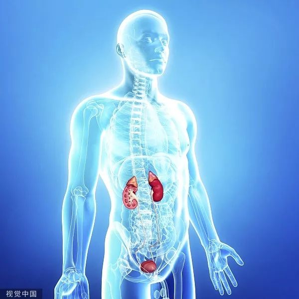 八个伤肾的习惯谨慎尿毒症,导致尿毒症的十大恶习