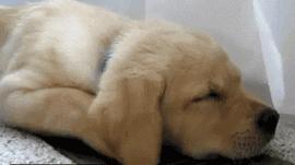 耳朵发热是有人想你吗,耳朵莫名其妙的发热是有人想吗