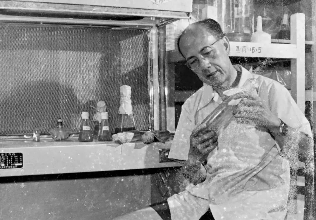 又一香港青年！考入岭大，弃文从医，成为我国兽医药理学学科奠基人