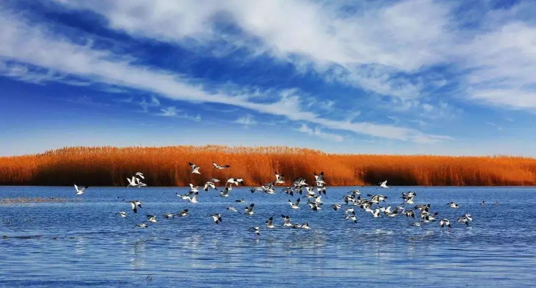 黄河大合唱人民日报,大河奔涌长风浩荡人民日报