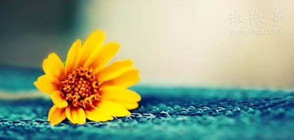 夜话调查丨不带手机一天心发慌，工作不在状态，总感觉少点啥，是说你吗？