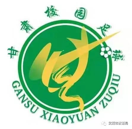 武威市代表队在2019年甘肃省青少年校园足球联赛初中组总决赛中获佳绩