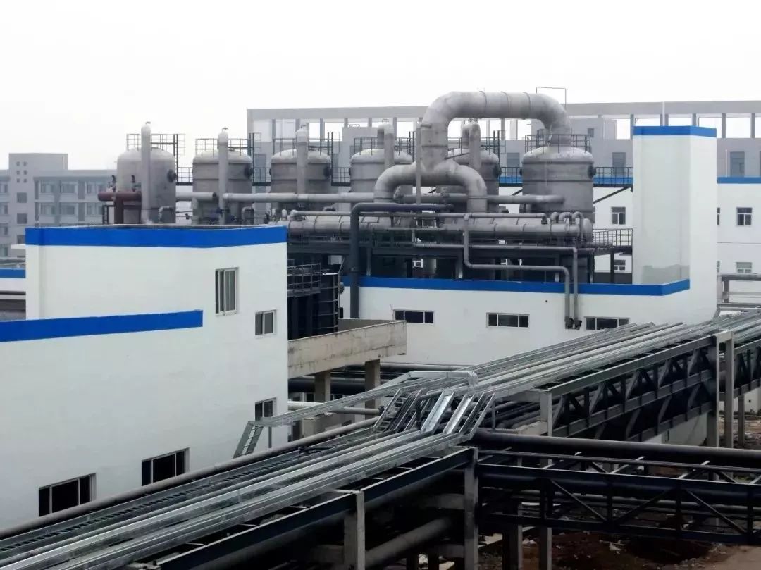 保定天鹅何以能展翅高飞？转型升级给出答案